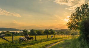 Cadastro Ambiental Rural: saiba o que é e por que é importante tê-lo! Cadastro Ambiental Rural: saiba o que é e por que é importante tê-lo!